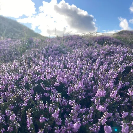 Apartament Appartement-soelring-02 *