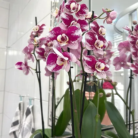 Appartement-soelring-02