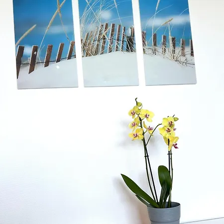 Appartement-soelring-02 Apartament Westerland